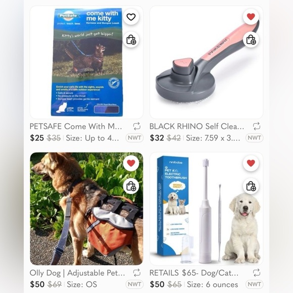 KITTIES & PUP PUPS 🐾 - Picture 5 of 7